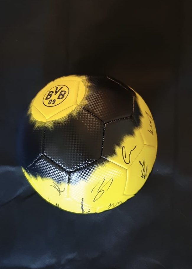 954470f3-4978-40ea-a21f-18baff27a404