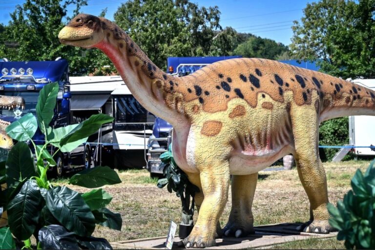 Dino-XXL_IMG_1370